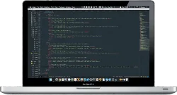 Application Programming and Development